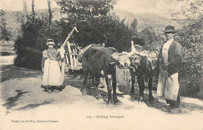 Carte postale ancienne Attelage Auvergnat