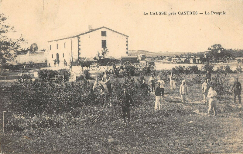 Carte postale ancienne Le Causse Pres Castres Le Pesquie à Castres