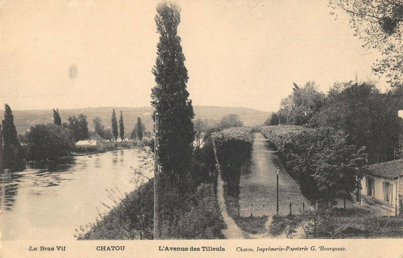 Carte postale ancienne Chatou Avenue Des Tilleuls à Chatou