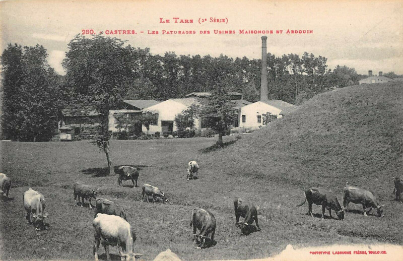 Carte postale ancienne Castres Les Paturages Des Usines Maisonobe Et Ardouin à Castres