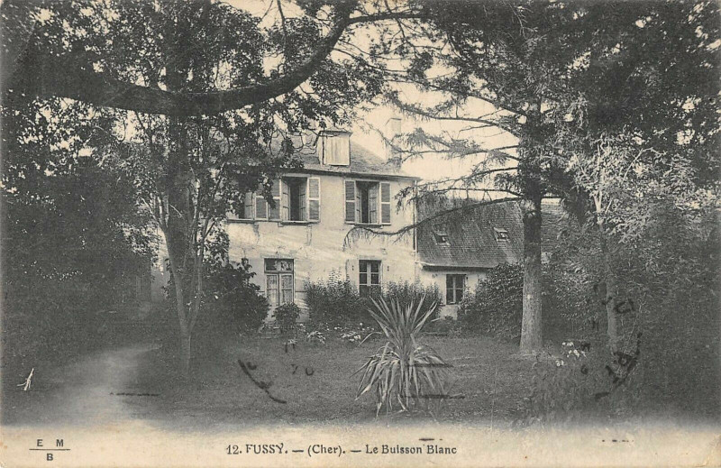 Carte postale ancienne Fussy Le Buisson Blanc à Fussy