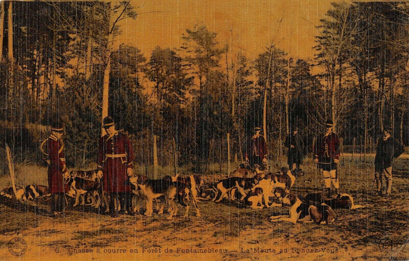 Carte postale ancienne Chasse A Courre En Foret De Fontainebleau La Meute Au Rendez Vous à Fontainebleau
