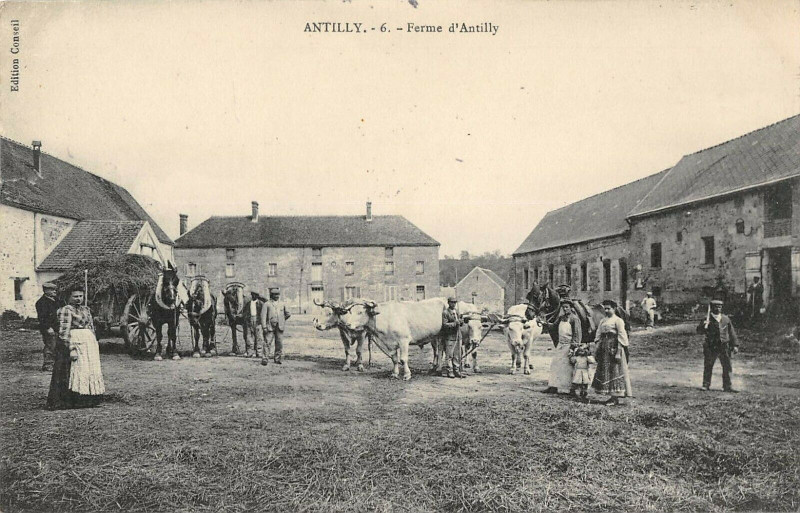 Carte postale ancienne Antilly Ferme D'Antilly à Antilly
