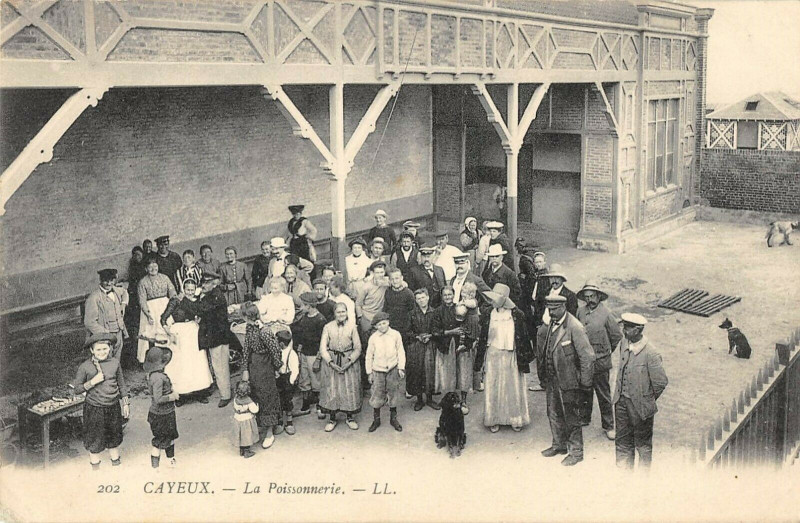 Carte postale ancienne Cayeux La Poissonnerie à Y