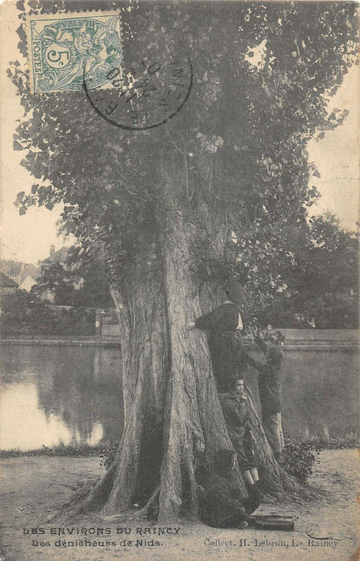 Carte postale ancienne Les Environs Du Raincy Les Denicheurs De Nids
