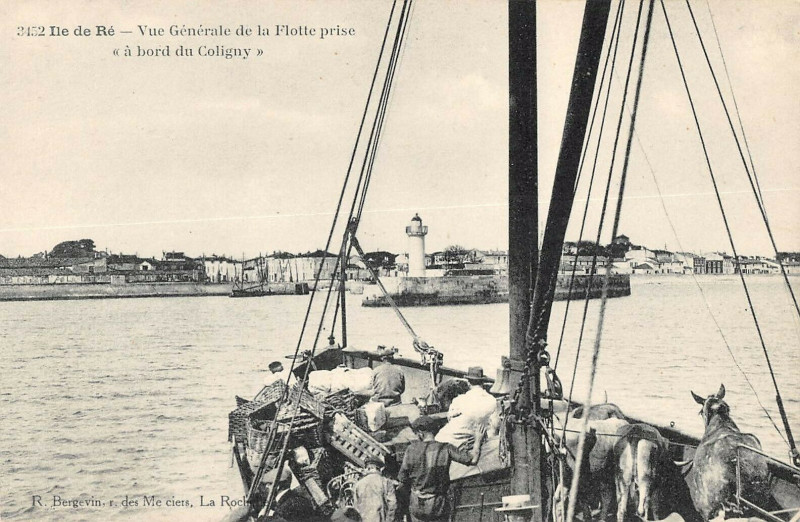 Carte postale ancienne Ile De Re Vue Generale De La Flotte Prise A Bord Du Coligny à La Flotte