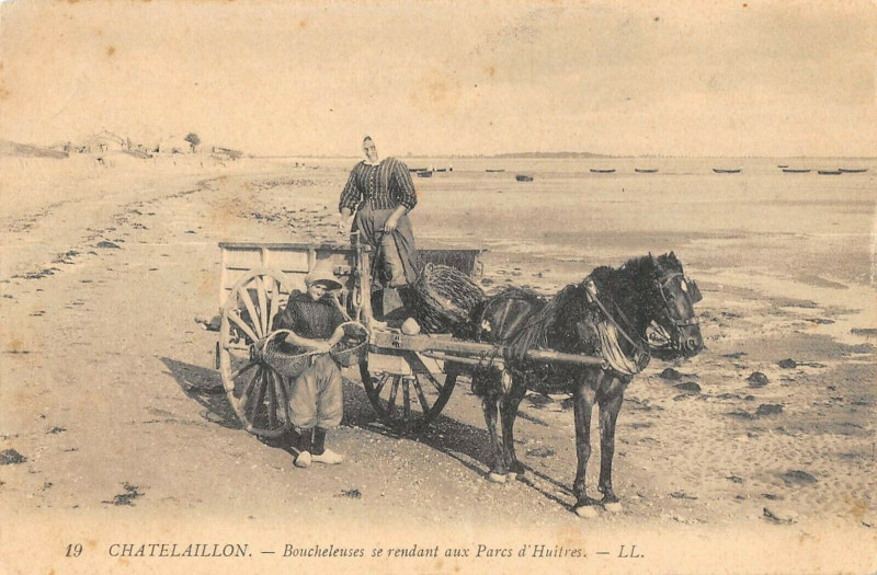 Carte postale ancienne Chatelaillon Boucheleuses Se Rendant Dans Les Parcs A Huitres