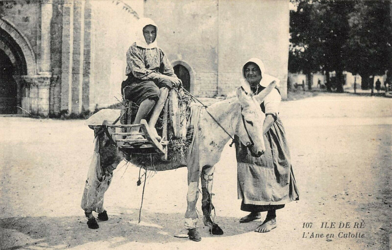 Carte postale ancienne Ile De Re L' Ane En Culotte