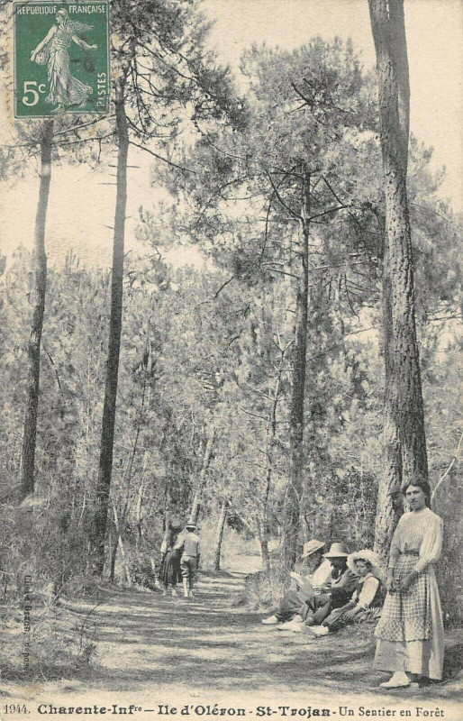 Carte postale ancienne Ile Oleron Saint Trojan Sentier Un Sentier En Foret