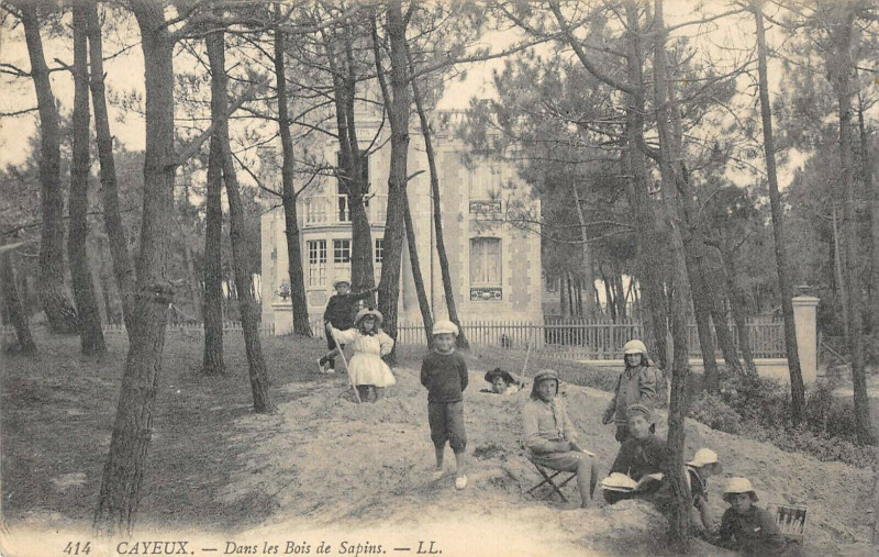 Carte postale ancienne Cayeux Dans Les Bois De Sapins à Y