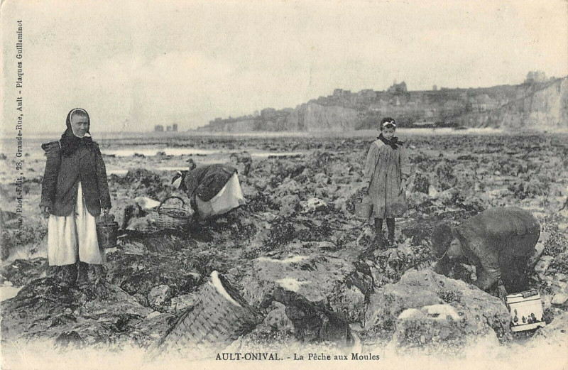 Carte postale ancienne Ault Onival La Peche Aux Moules à Ault