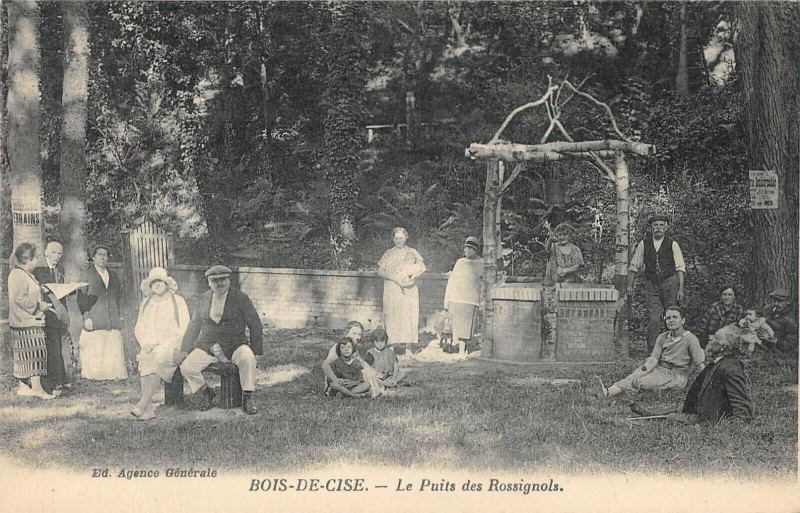 Carte postale ancienne Bois De Cise Le Puits Des Rossignols