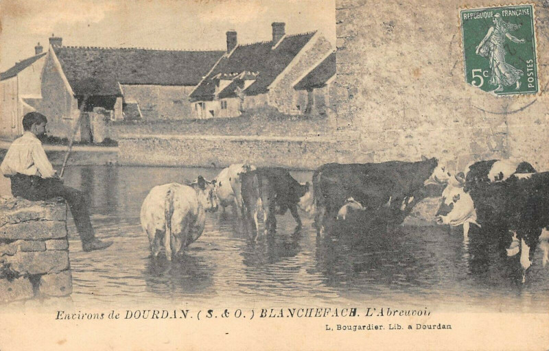 Carte postale ancienne Env.de Dourdan Blancheface Abreuvoir à Dourdan