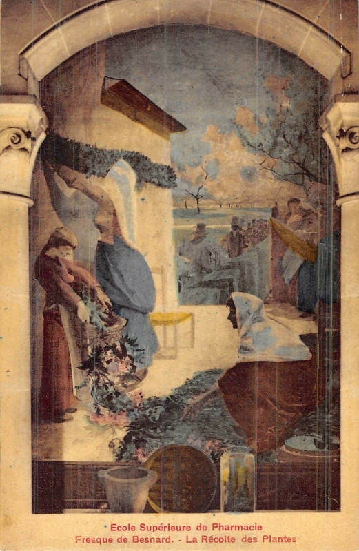 Carte postale ancienne Ecole Supérieure de Pharmacie - Fresque de Besnard - La Récolte des Plantes à Paris 6e