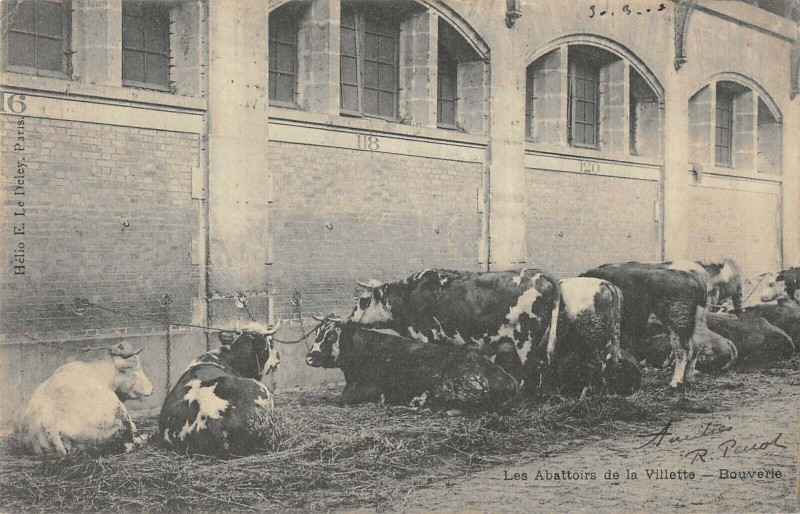 Carte postale ancienne Les Abattoirs de la Villette - Bouverie à Paris 19e