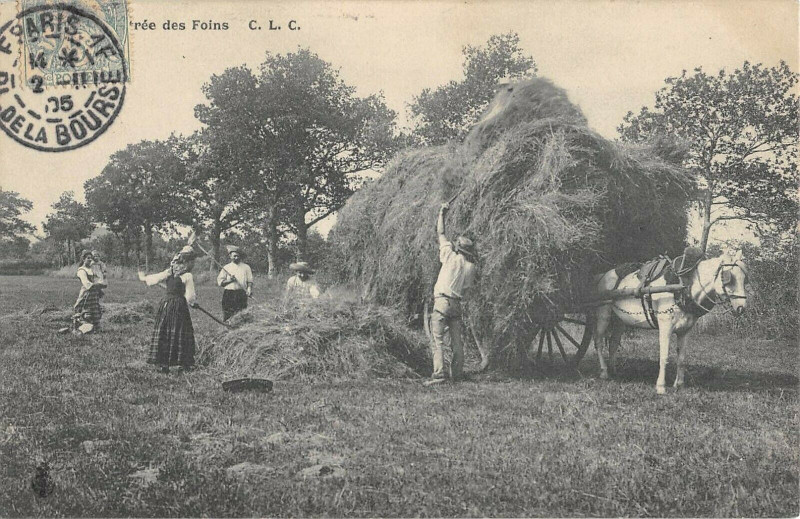 Carte postale ancienne Rentree Des Foins Agriculture