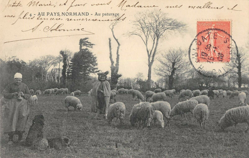 Carte postale ancienne Au Pays Normand Au Paturage