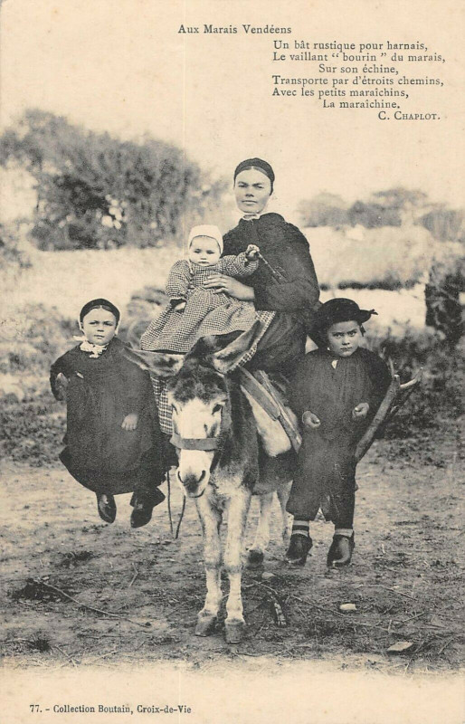 Carte postale ancienne Aux Marais Vendeens Un Bat Rustique Pour Harnais