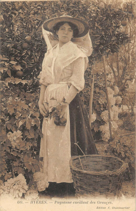Carte postale ancienne Hyeres Paysanne Cueillant Des Oranges à Hyères
