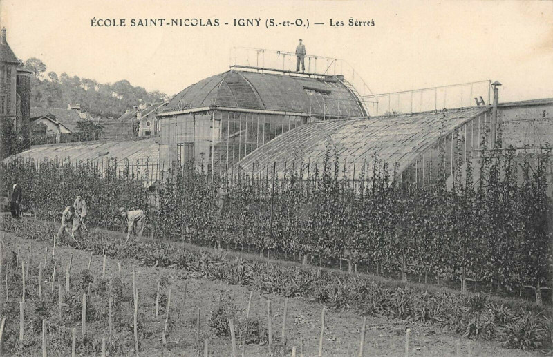 Carte postale ancienne Igny Ecole Saint Nicolas Les Serres à Igny