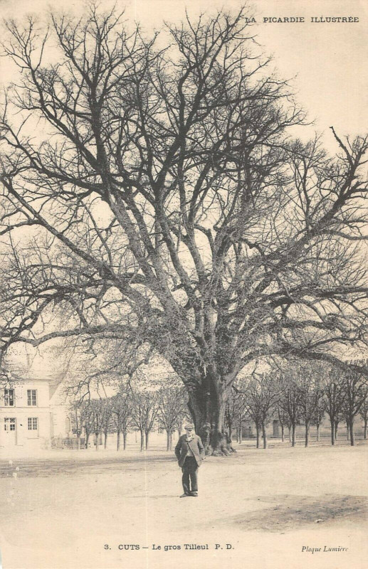 Carte postale ancienne Cuts Le Gros Tilleul à Cuts