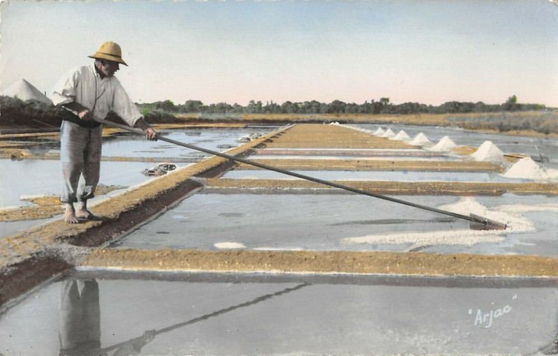 Carte postale ancienne Ile D'Oleron Marais Salants