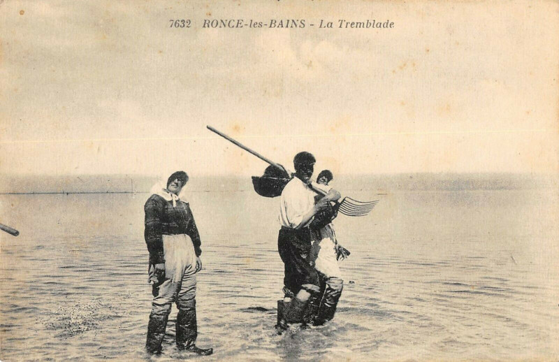 Carte postale ancienne Ronce Les Bains La Tremblade à La Tremblade