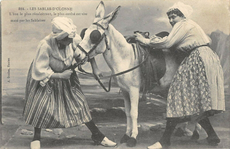 Carte postale ancienne Les Sables D'Olonne L'Ane Le Plus Recalcitrant aux Sables-d'Olonne