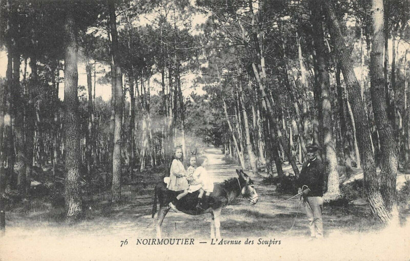Carte postale ancienne Noirmoutier L'Avenue Des Soupirs