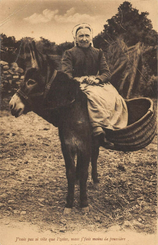 Carte postale ancienne La Normandie Pittoresque J'Vais Pas Si Vite