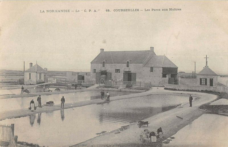 Carte postale ancienne Courseulles Sur Mer Les Parcs A Huitres à Courseulles-sur-Mer