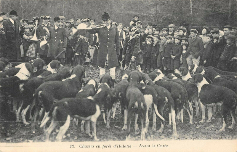Carte postale ancienne Chasse En Foret D'Halatte Avant La Curee