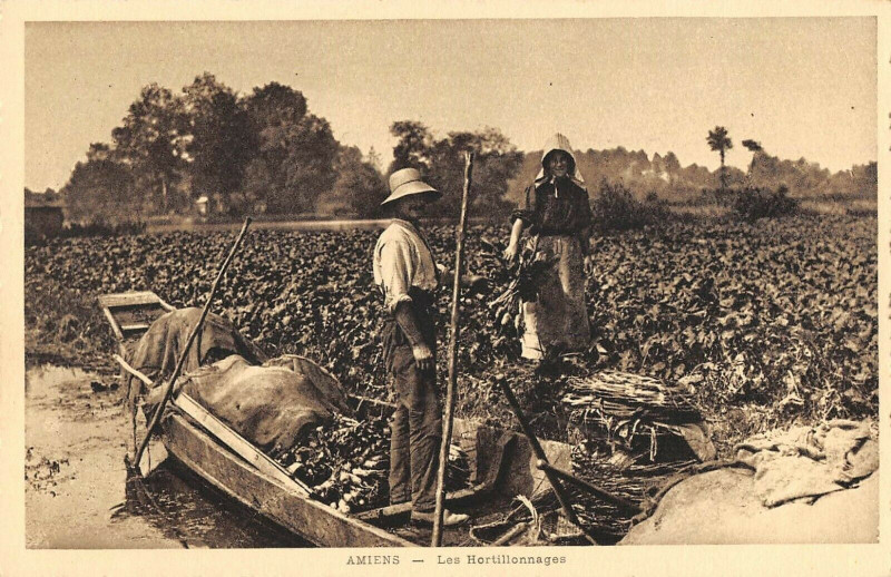 Carte postale ancienne Amiens Les Hortillonages à Amiens