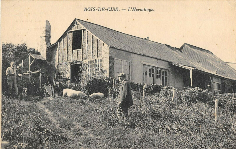 Carte postale ancienne Bois De Cise L'Hermitage