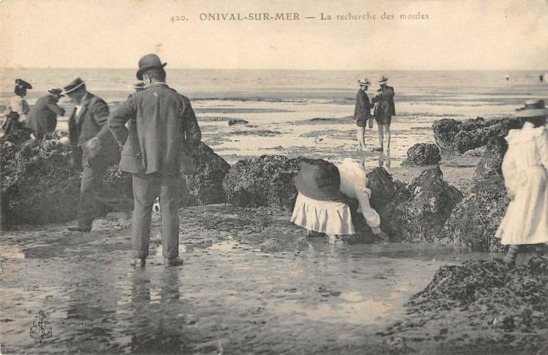 Carte postale ancienne Onival Sur Mer Recherche Des Moules