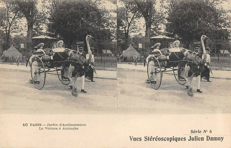 Carte postale ancienne Jardin d'Acclimatation - La Voiture à Autruche à Neuilly-sur-Seine