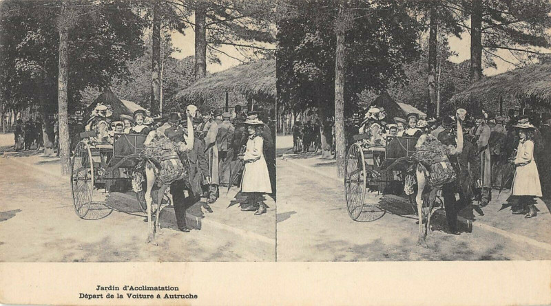 Carte postale ancienne Jardin d'Acclimatation - Départ de la Voiture à Autruche à Neuilly-sur-Seine