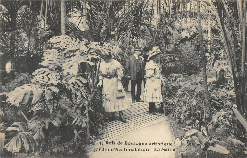 Carte postale ancienne Bois de Boulogne - Jardin d'Acclimatation - La Serre à Paris