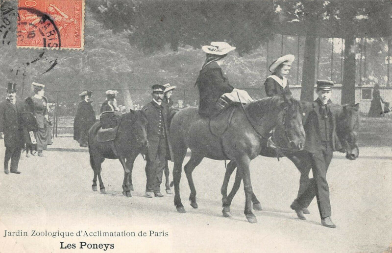 Carte postale ancienne Jardin Zoologique d'Acclimatation de Paris - Les Poneys à Neuilly-sur-Seine