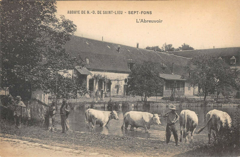 Carte postale ancienne Abbaye De N.d.de Saint Lieu Sept Fonds L'abreuvoir