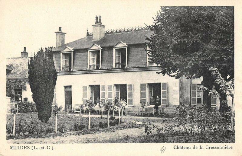 Carte postale ancienne Muides Chateau De La Cressonniere