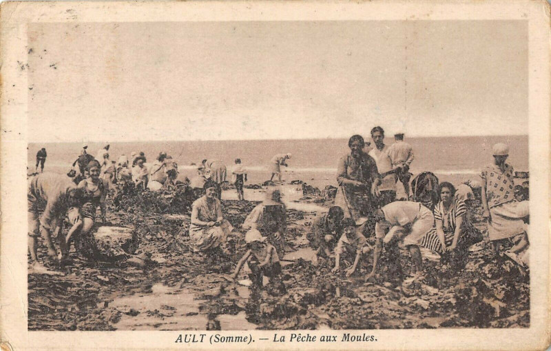 Carte postale ancienne Ault La Peche Aux Moules à Ault