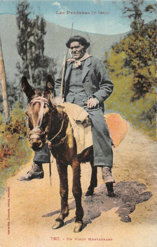 Carte postale ancienne Les Pyrenees Un Vieux Montagnard