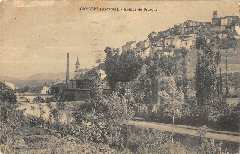 Carte postale ancienne Camares Avenue De Brusque à Camarès