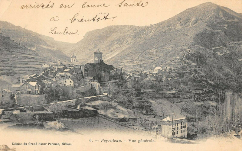 Carte postale ancienne Peyroleau Vue Generale