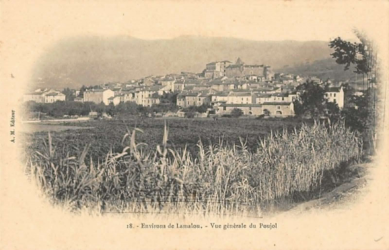 Carte postale ancienne Environs De Lamalou Vue Generale Du Poujol