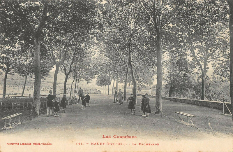 Carte postale ancienne Maury La Promenade à Maury