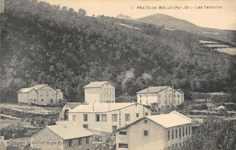 Carte postale ancienne Prats De Mollo Les Tamaris (cliché pas courant à Llo