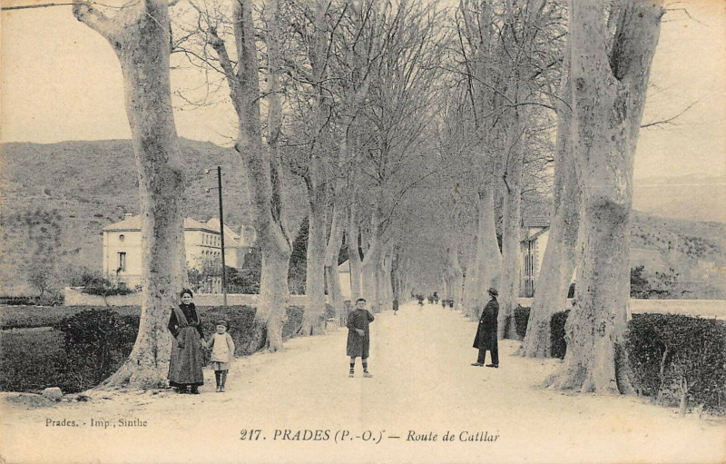 Carte postale ancienne Prades Route De Catllar à Prades