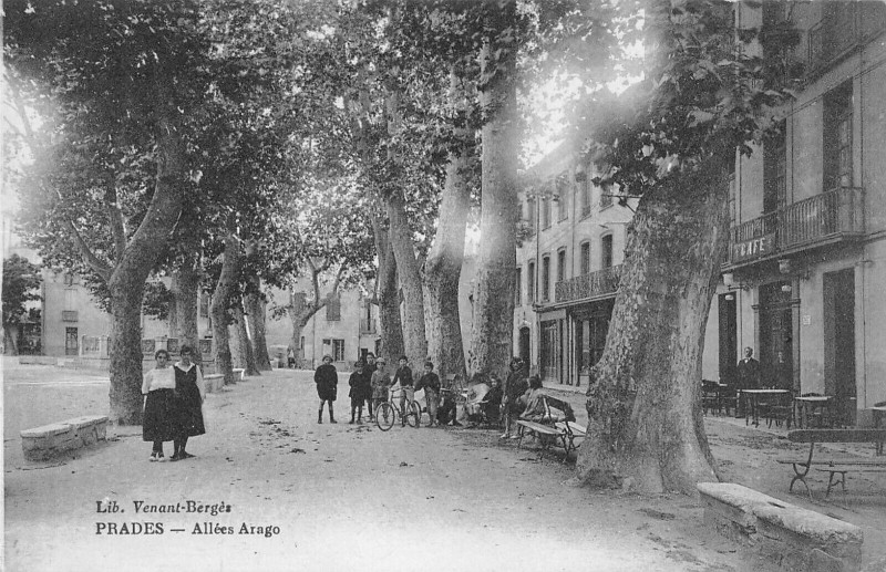 Carte postale ancienne Prades Allees Arago à Prades